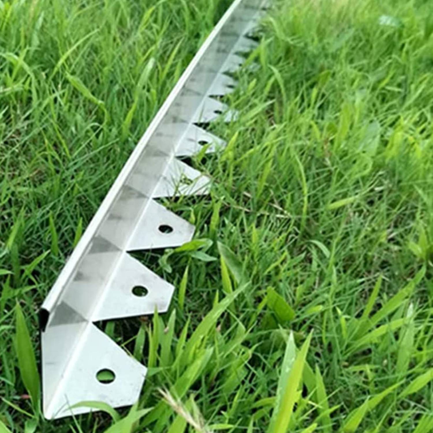 Stainless steel garden edging: image 7