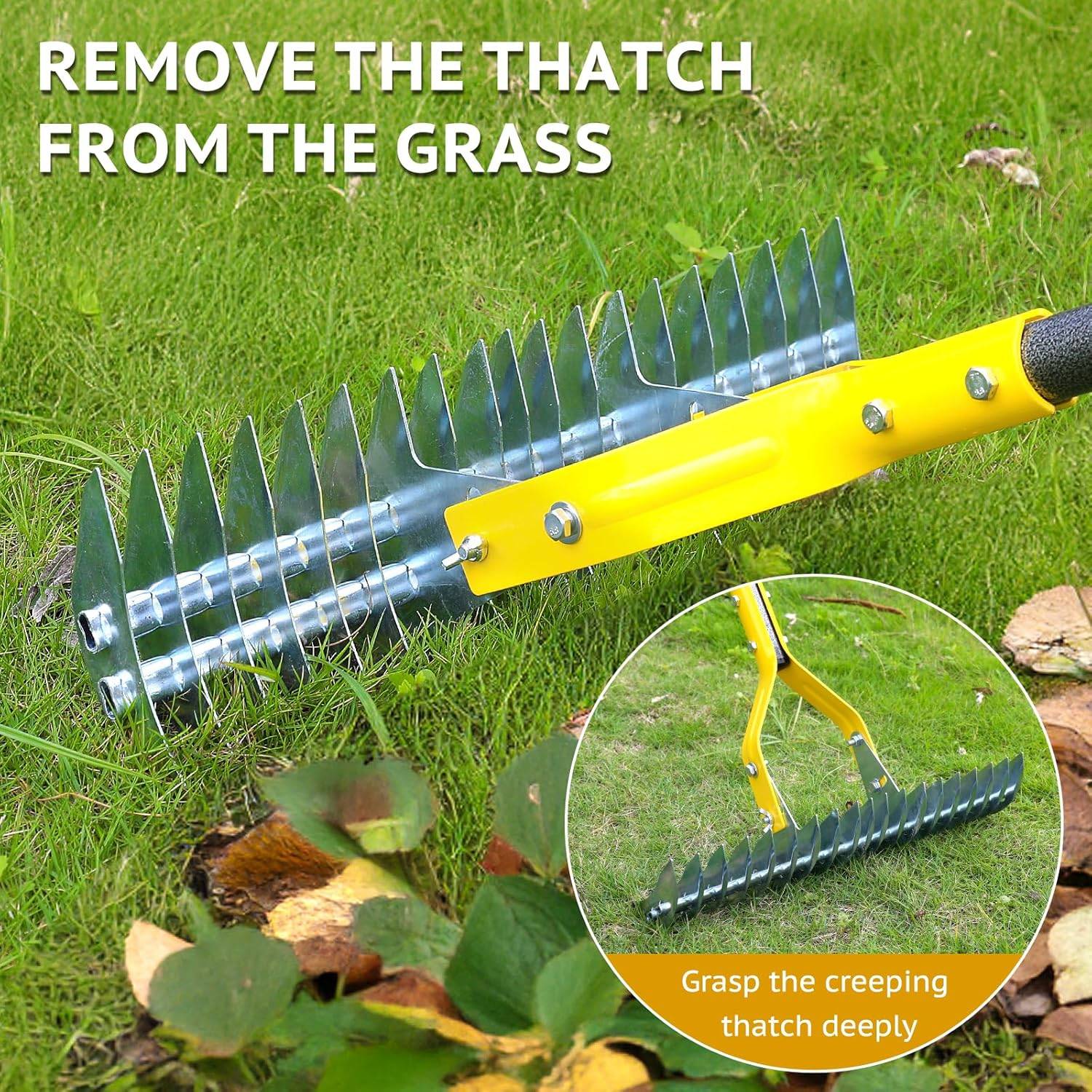 Grass dethatcher rake