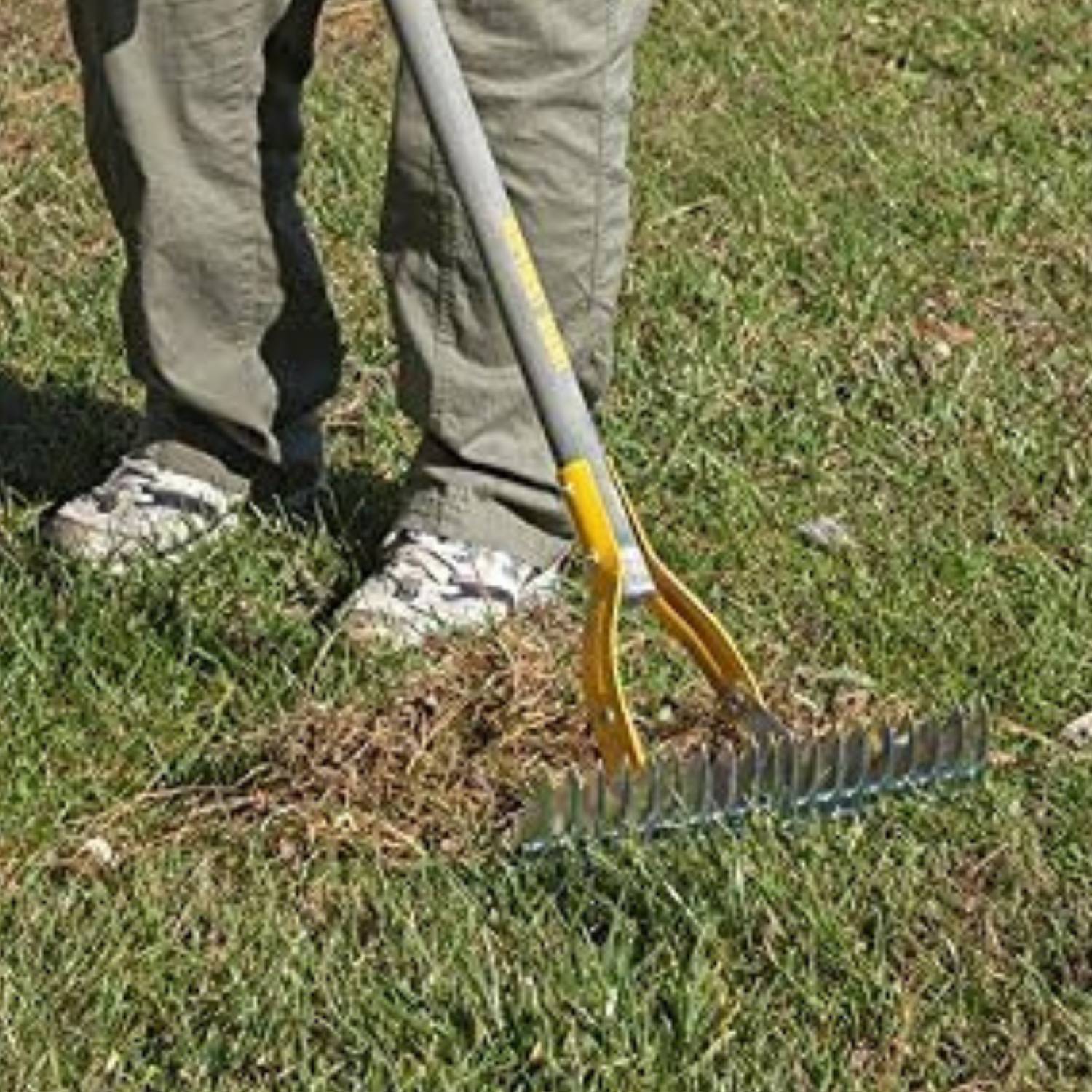 Grass dethatcher rake: image 6