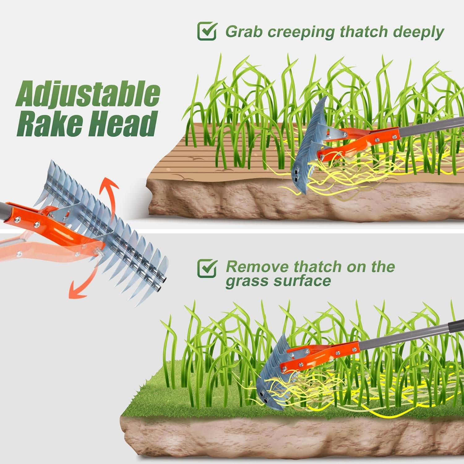 Grass dethatcher rake: image 9