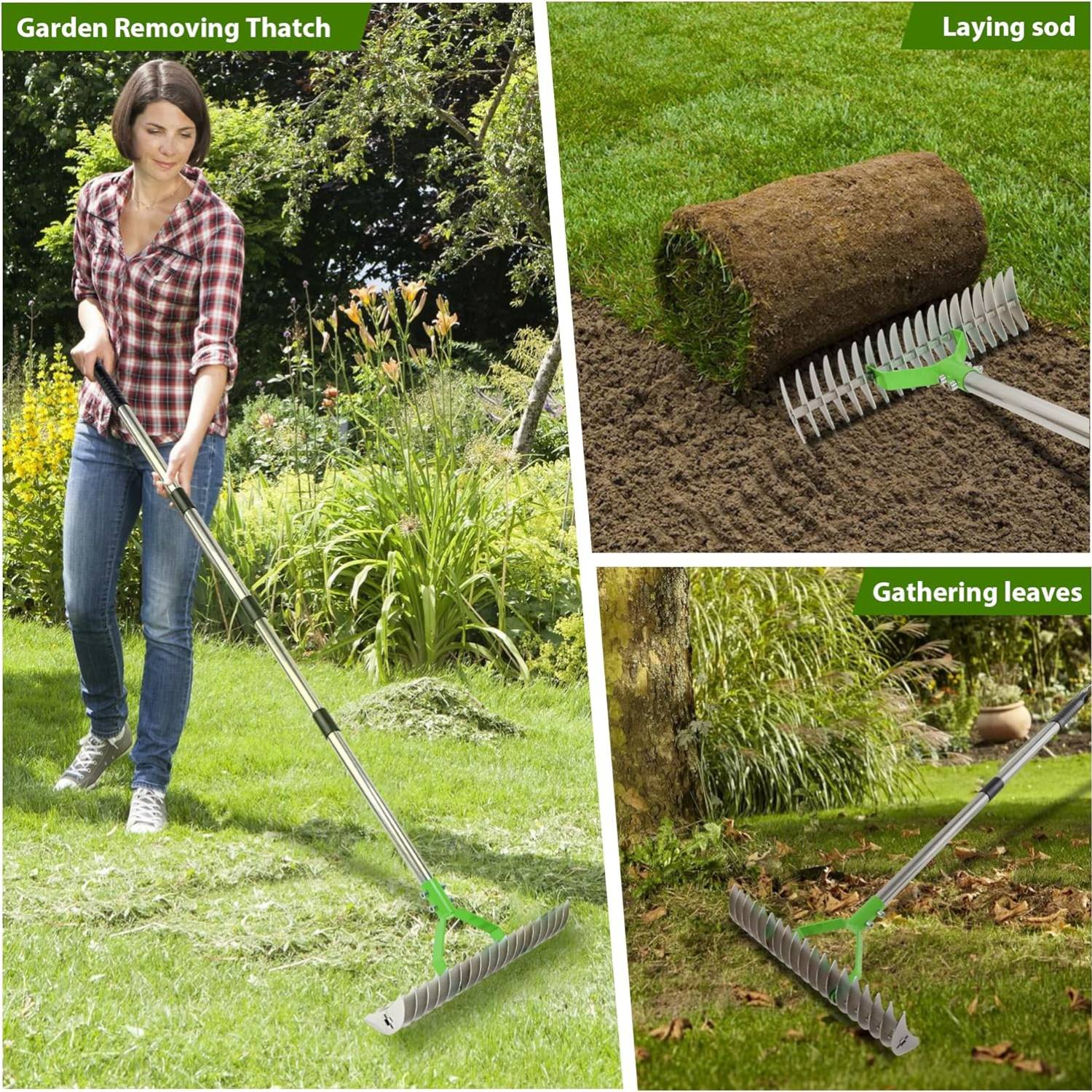 Grass dethatcher rake: image 10
