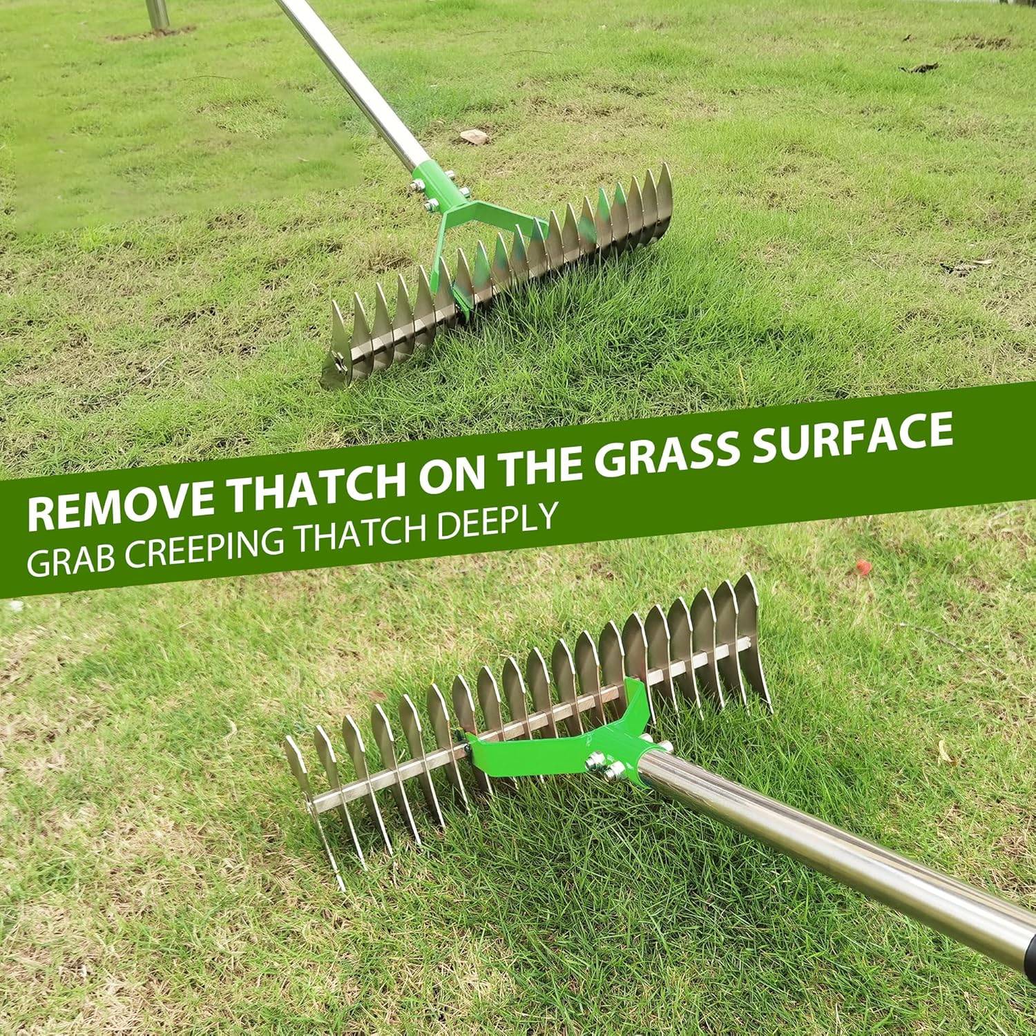 Grass dethatcher rake: image 11
